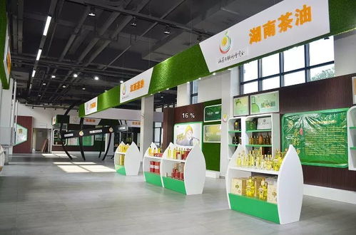 邵陽新增AAA級景區名單公示，趁秋高氣爽，來一場技術與自然的融合之旅